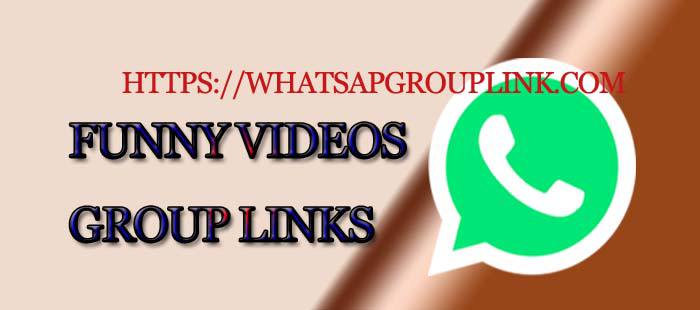 Daily Funny Videos WhatsApp Group Link