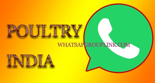 Poultry India Whatsapp Group Link.