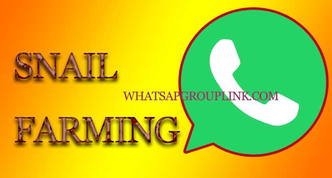 Snail farming Whatsapp Group Link